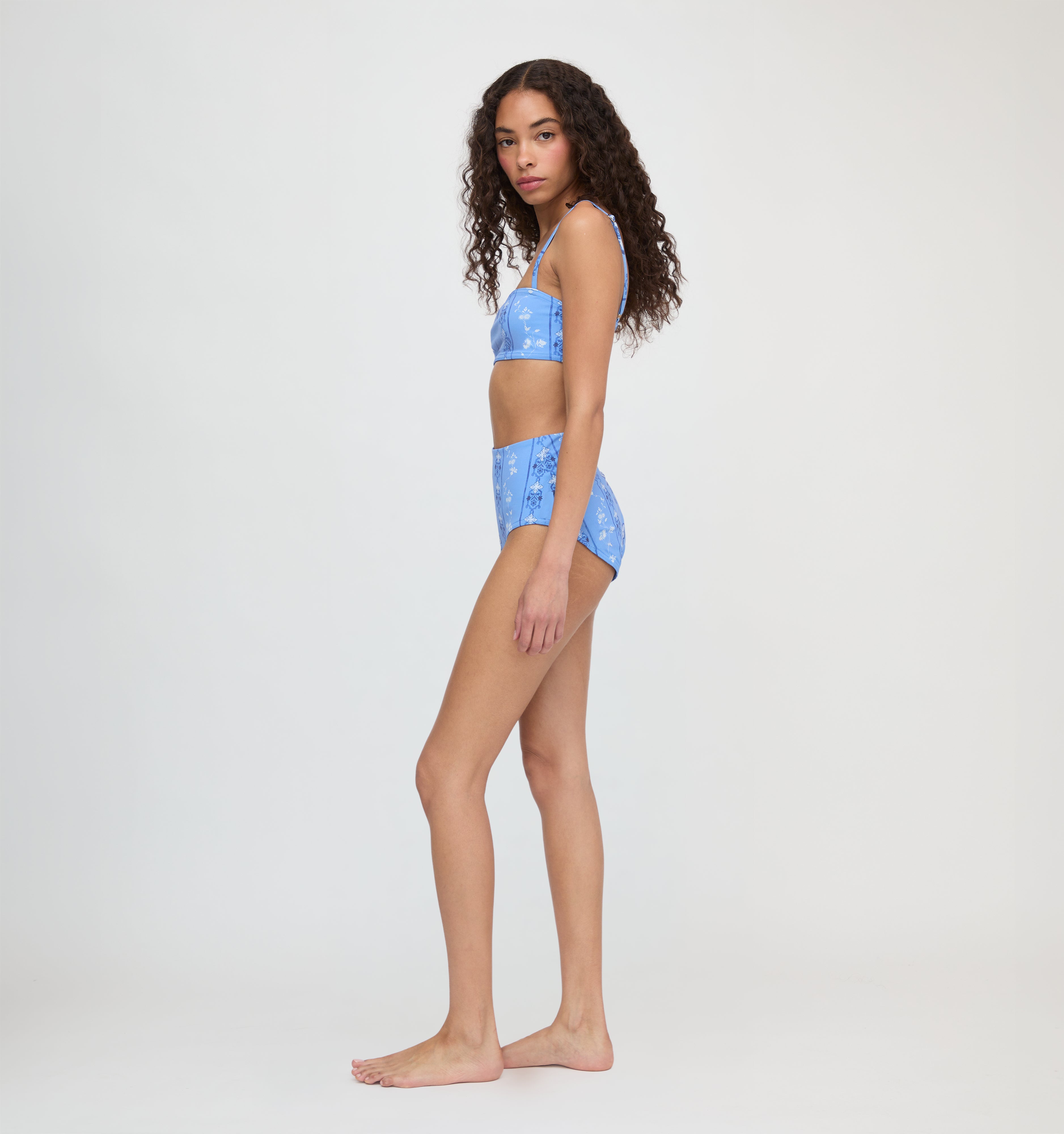 The Juno Bikini Set - Blue Arcadia Border