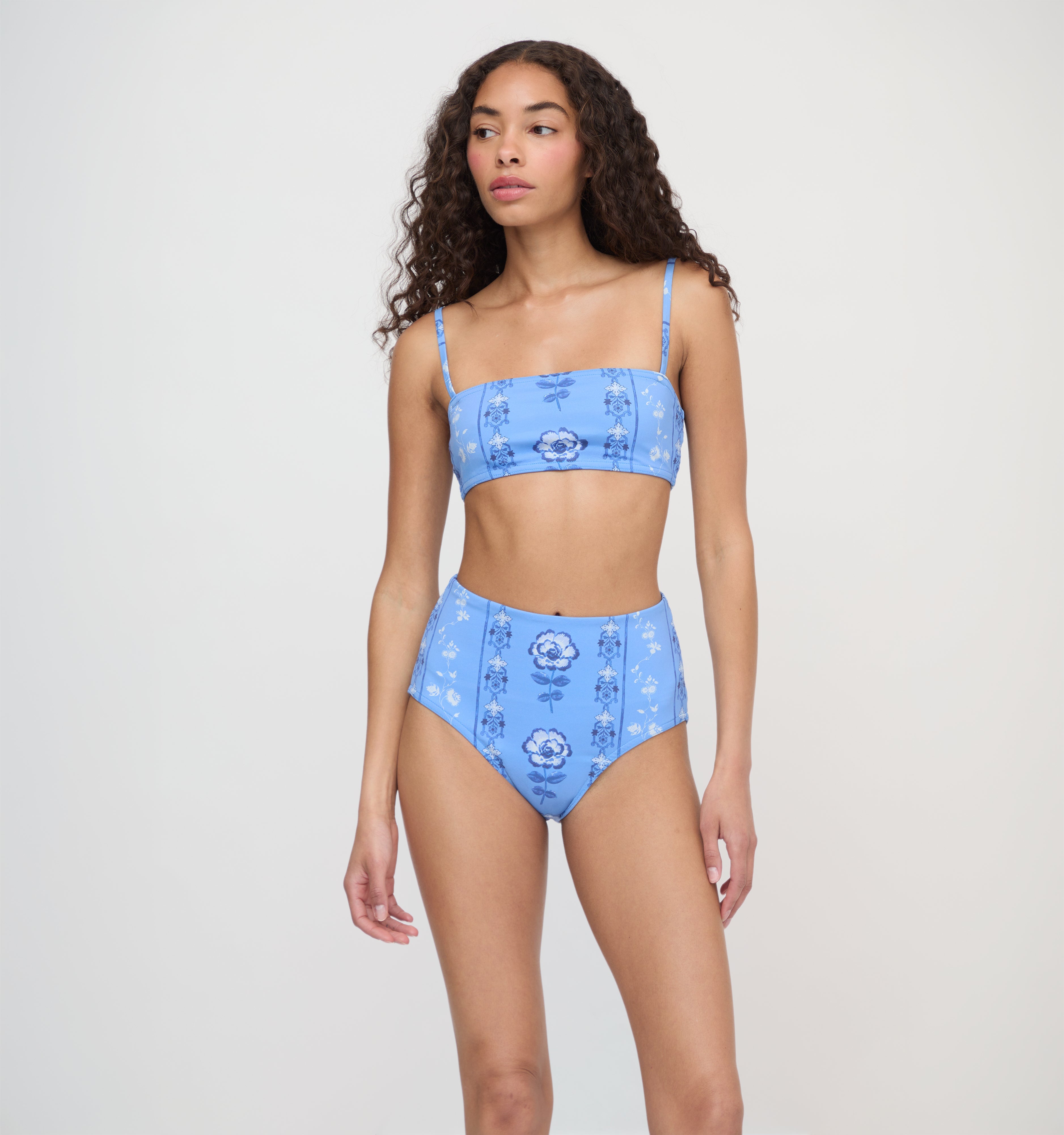 The Juno Bikini Set - Blue Arcadia Border